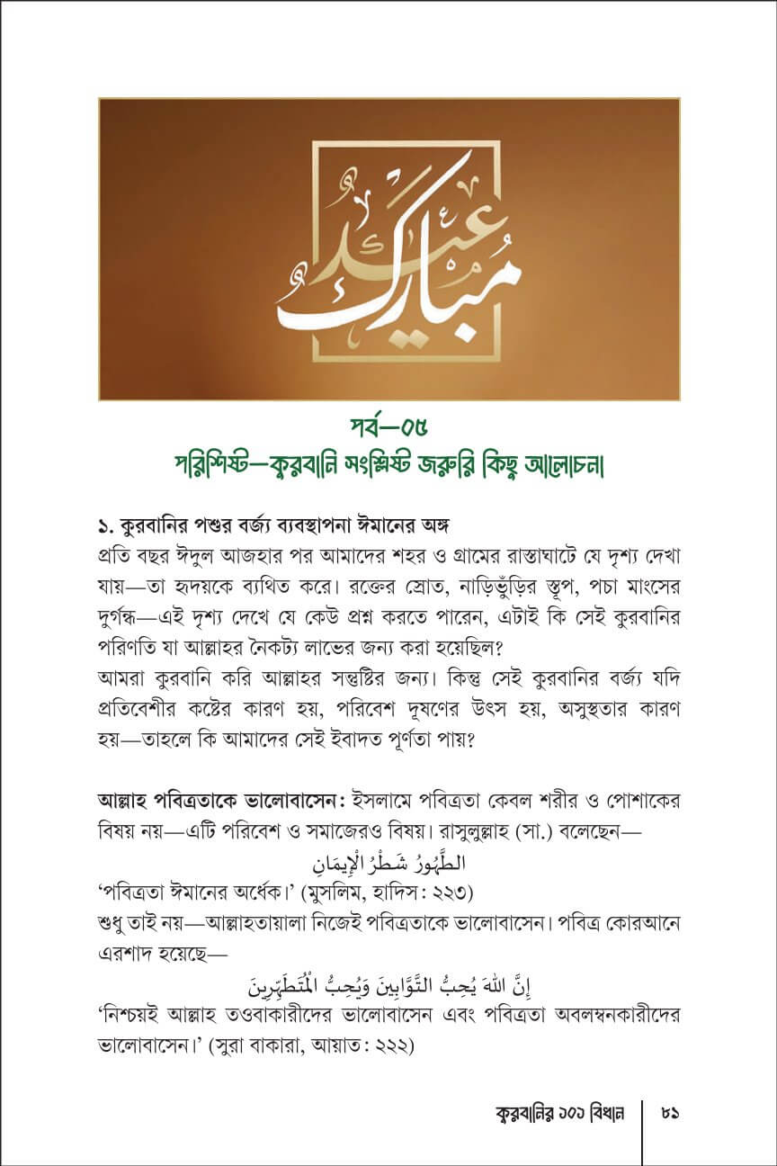 পাতা ১৩
