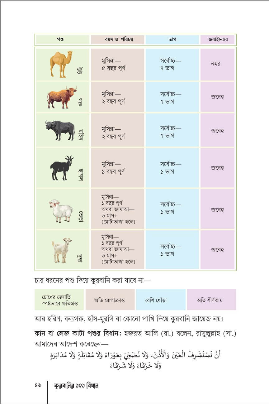 পাতা ৮